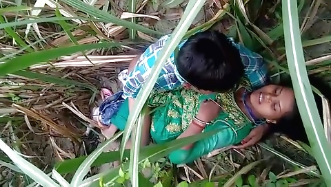 Dehati Lovers Having Sex In A Grass Field