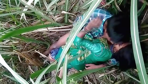 Dehati Lovers Having Sex In A Grass Field