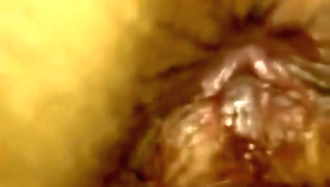 Indian XXX Videos (18724)