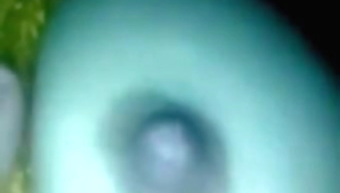 Today Exclusive- Sexy Bihari Girl Showing Her Boobs On Video Call 7
