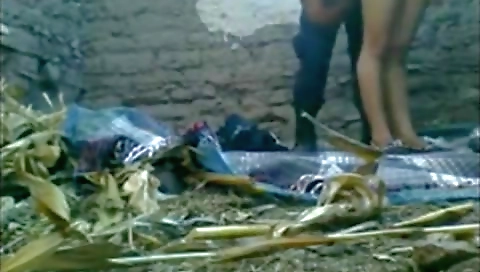 Desi Mms Sex Of Village Bhabhi In Threesome