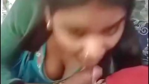 Indian Truck Driver Sex Video