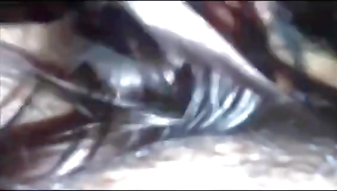 Xxx Indian Aunty Sex Video With Husband Rakesh