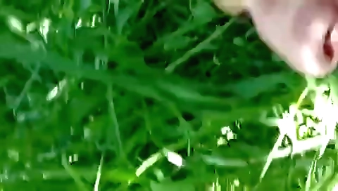 Gorgeous Kashmiri Girl Outdoor Sex Mms