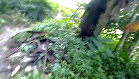 Indian Village Bhabhi Fucking Risky Public Sex Porn In Hindi With Savita Bhabhi