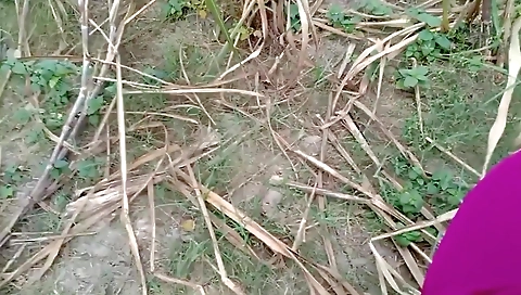 Indian Desi Village Bhabhi Outdoor Fucking