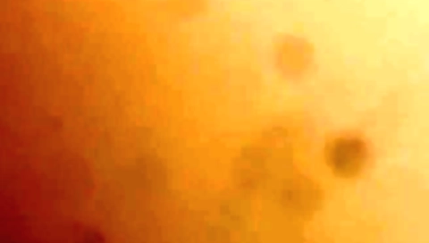 Dehati Wife Fucking With Lover Outdoors