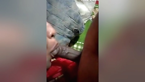 Stepaunty Suck Small Cock