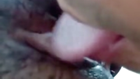 licking Desi pussy