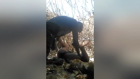 Desi Cpl Outdoor Blowjob And Fucked